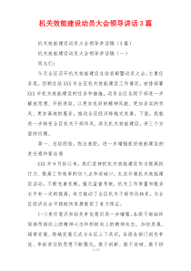 机关效能建设动员大会领导讲话3篇
