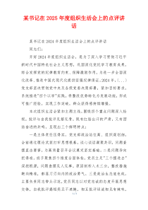 某书记在2025年度组织生活会上的点评讲话