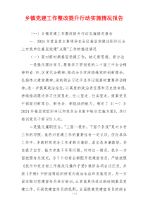 乡镇党建工作整改提升行动实施情况报告
