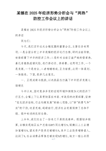 某镇在2025年经济形势分析会与“两热”防控工作会议上的讲话