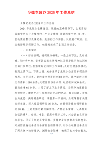 乡镇党政办2025年工作总结