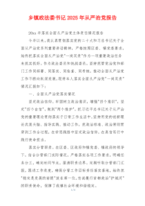 乡镇政法委书记2025年从严治党报告