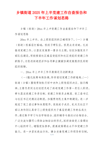 乡镇街道2025年上半党建工作自查报告和下半年工作谋划思路