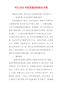 书记2025年抓党建述职报告乡镇