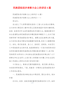 民族团结进步表彰大会上的讲话4篇