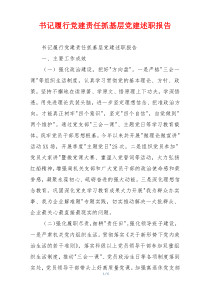 书记履行党建责任抓基层党建述职报告