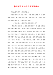 书记抓党建工作专项述职报告