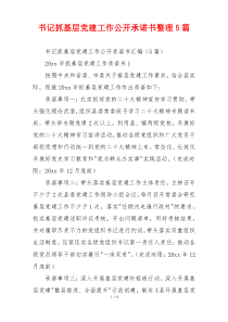 书记抓基层党建工作公开承诺书整理5篇