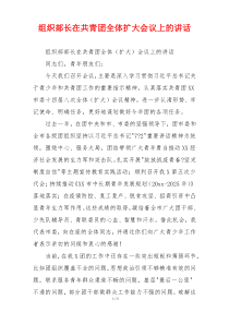 组织部长在共青团全体扩大会议上的讲话