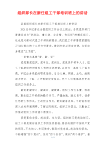 组织部长在新任组工干部培训班上的讲话