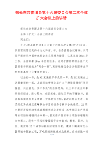 部长在共青团县第十六届委员会第二次全体扩大会议上的讲话