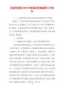 住建局党组2025年抓基层党建述职工作报告