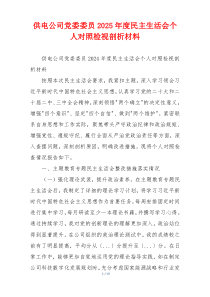 供电公司党委委员2025年度民主生活会个人对照检视剖析材料