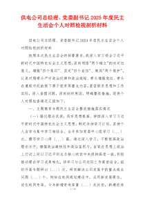 供电公司总经理、党委副书记2025年度民主生活会个人对照检视剖析材料