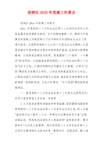 供销社2025年党建工作要点