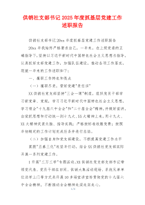 供销社支部书记2025年度抓基层党建工作述职报告