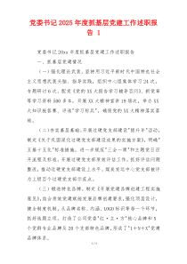 党委书记2025年度抓基层党建工作述职报告 1