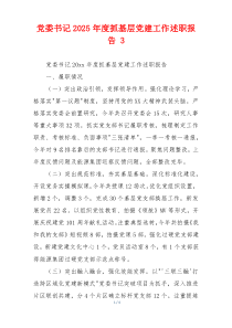 党委书记2025年度抓基层党建工作述职报告 3