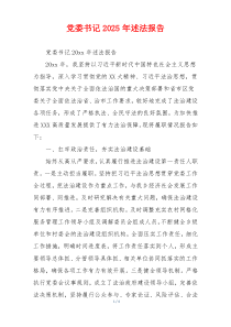 党委书记2025年述法报告