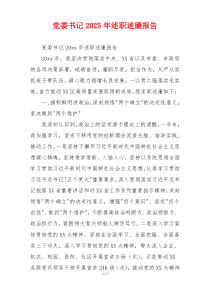 党委书记2025年述职述廉报告