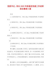 党委书记、局长2025年抓基层党建工作述职报告整理5篇