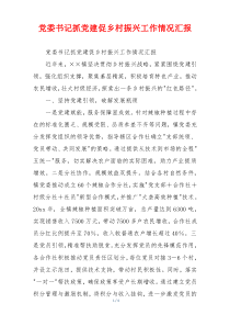党委书记抓党建促乡村振兴工作情况汇报