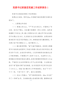 党委书记抓基层党建工作述职报告1