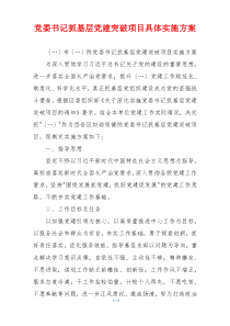 党委书记抓基层党建突破项目具体实施方案