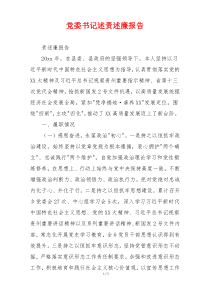党委书记述责述廉报告