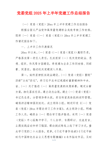 党委党组2025年上半年党建工作总结报告