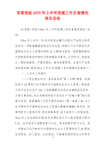 党委党组2025年上半年党建工作自查情况报告总结