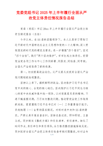 党委党组书记2025年上半年履行全面从严治党主体责任情况报告总结