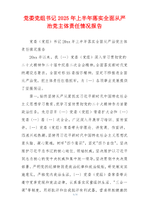 党委党组书记2025年上半年落实全面从严治党主体责任情况报告