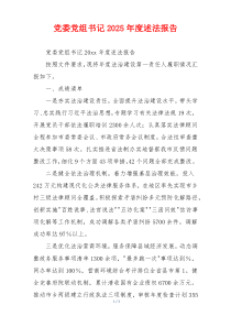 党委党组书记2025年度述法报告