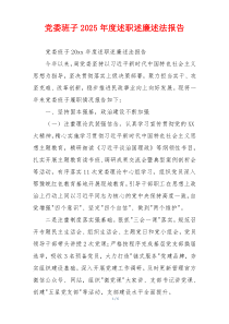 党委班子2025年度述职述廉述法报告