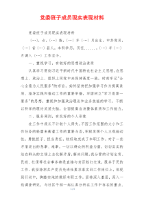 党委班子成员现实表现材料
