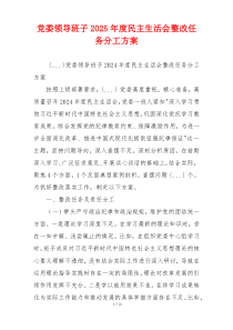 党委领导班子2025年度民主生活会整改任务分工方案