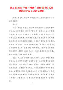 党工委2025年度“两新”党组织书记抓党建述职评议会议讲话提纲