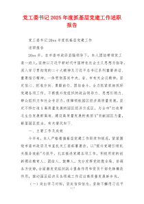 党工委书记2025年度抓基层党建工作述职报告