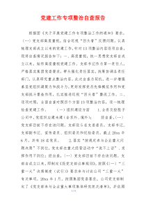 党建工作专项整治自查报告