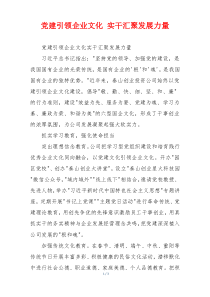 党建引领企业文化 实干汇聚发展力量