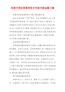 党建引领促普惠转型乡村振兴献金融力量