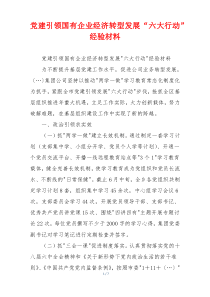 党建引领国有企业经济转型发展“六大行动”经验材料