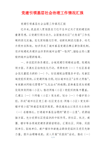 党建引领基层社会治理工作情况汇报