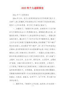 2025年个人述职报告