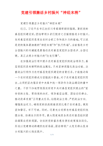 党建引领激活乡村振兴“神经末梢”