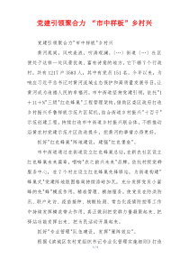 党建引领聚合力 “市中样板”乡村兴