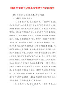 2025年党委书记抓基层党建工作述职报告