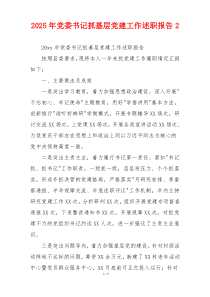 2025年党委书记抓基层党建工作述职报告2