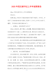 2025年党支部书记上半年述职报告